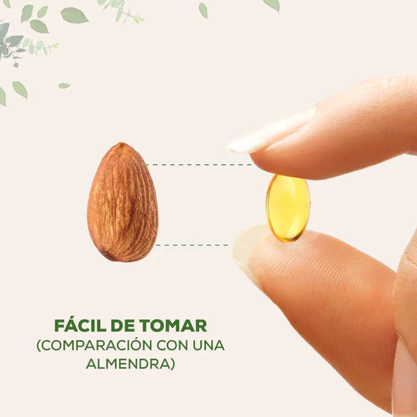 🌿 ¡Oregano Guard – El Aceite Natural que Protege tu Salud Todos los Días! 💧🔥