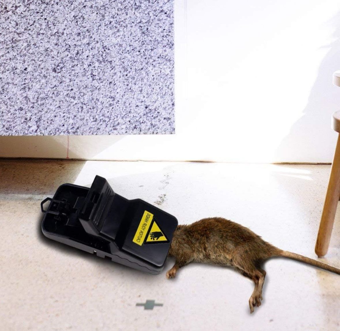 TRAMPA PARA RATAS Y RATONES (PACK 6 UNIDADES)